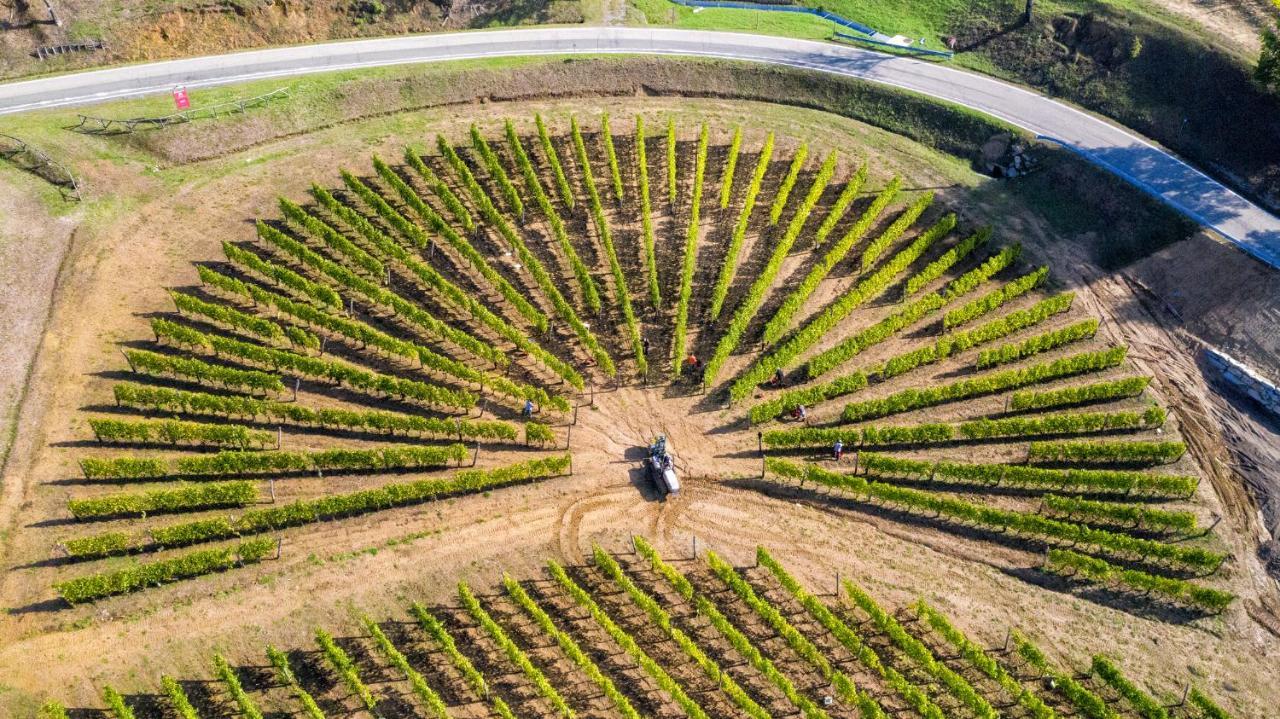 ノーヴィ・リーグレ Cascina Bineヴィラ エクステリア 写真